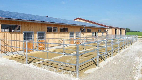 2 Paddockstall neu